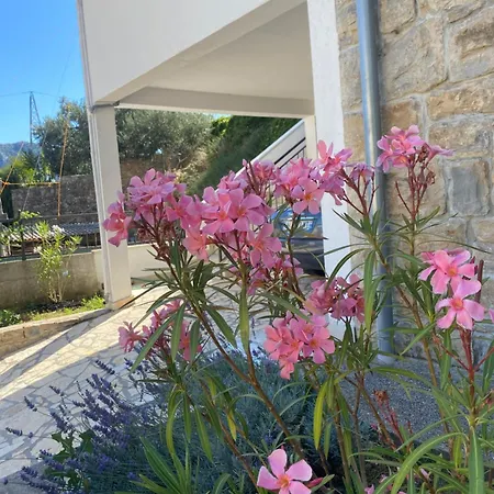 Authentique Maison Dalmate En Vieille Pierre Proche De Split, De La Et De La Montagne Villa Žrnovnica